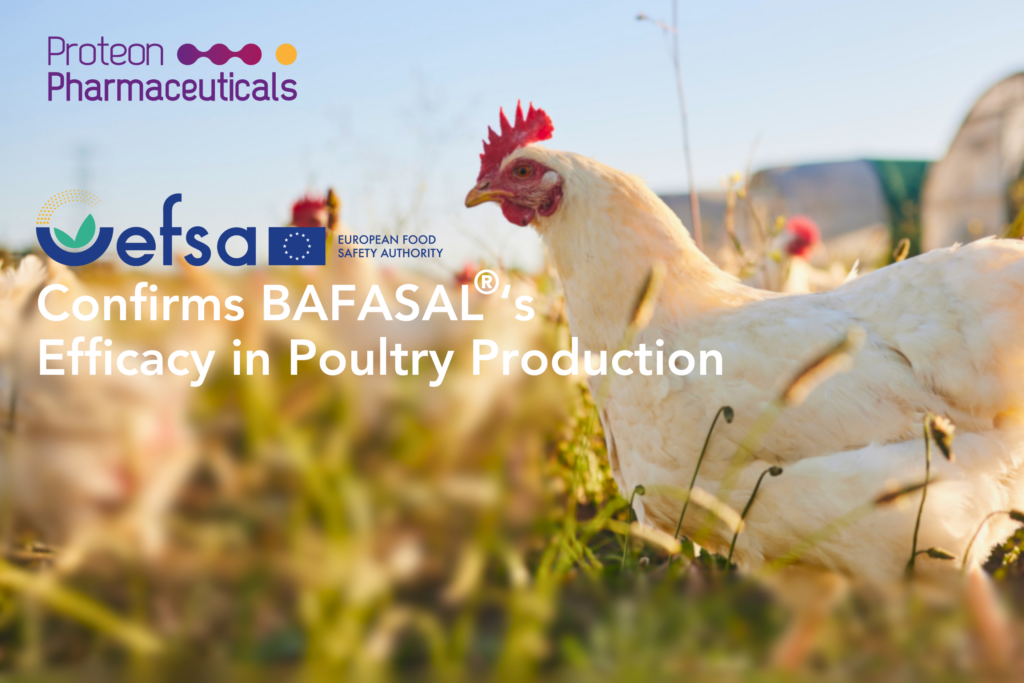 Breaking News: EFSA Confirms BAFASAL®’s Efficacy in Poultry Production